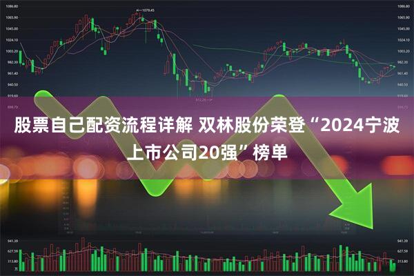 股票自己配资流程详解 双林股份荣登“2024宁波上市公司20强”榜单
